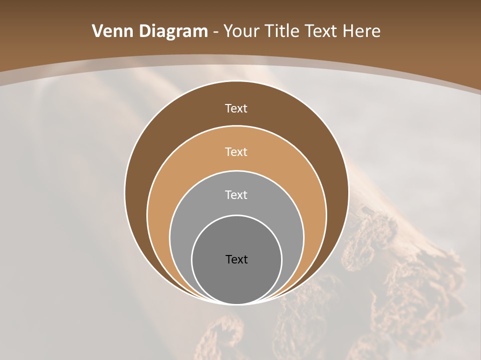 Cinnamons On A Table With A Brown Background PowerPoint Template