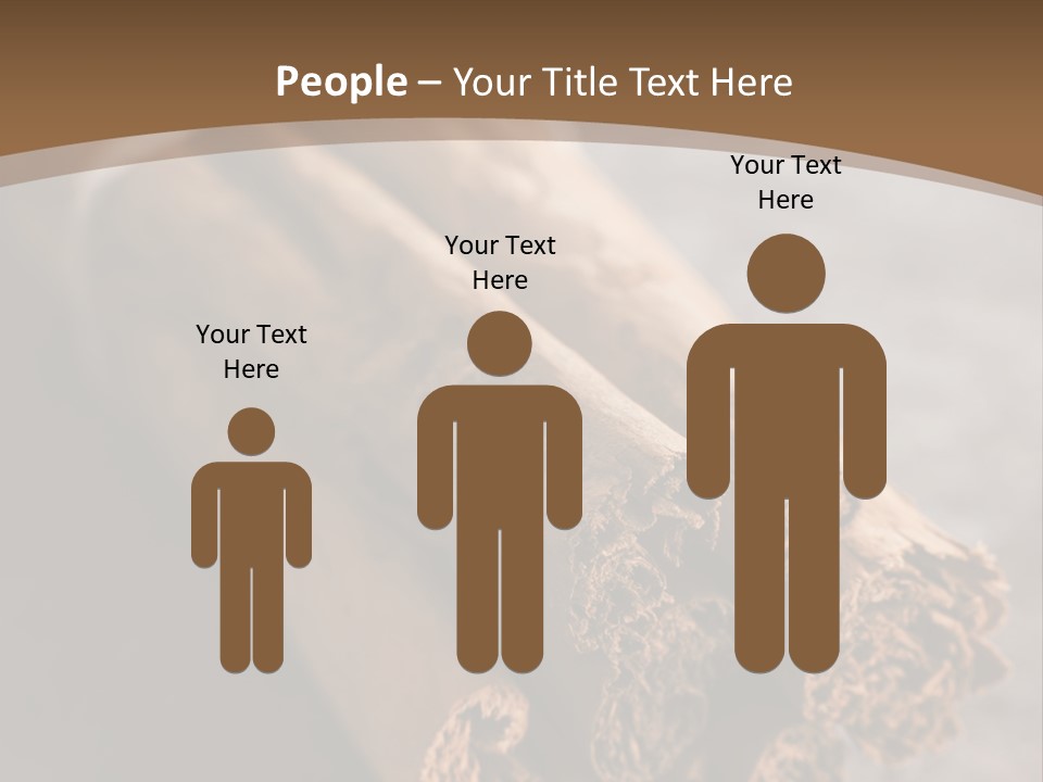Cinnamons On A Table With A Brown Background PowerPoint Template