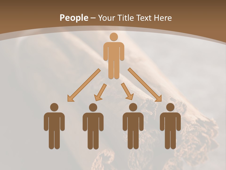 Cinnamons On A Table With A Brown Background PowerPoint Template