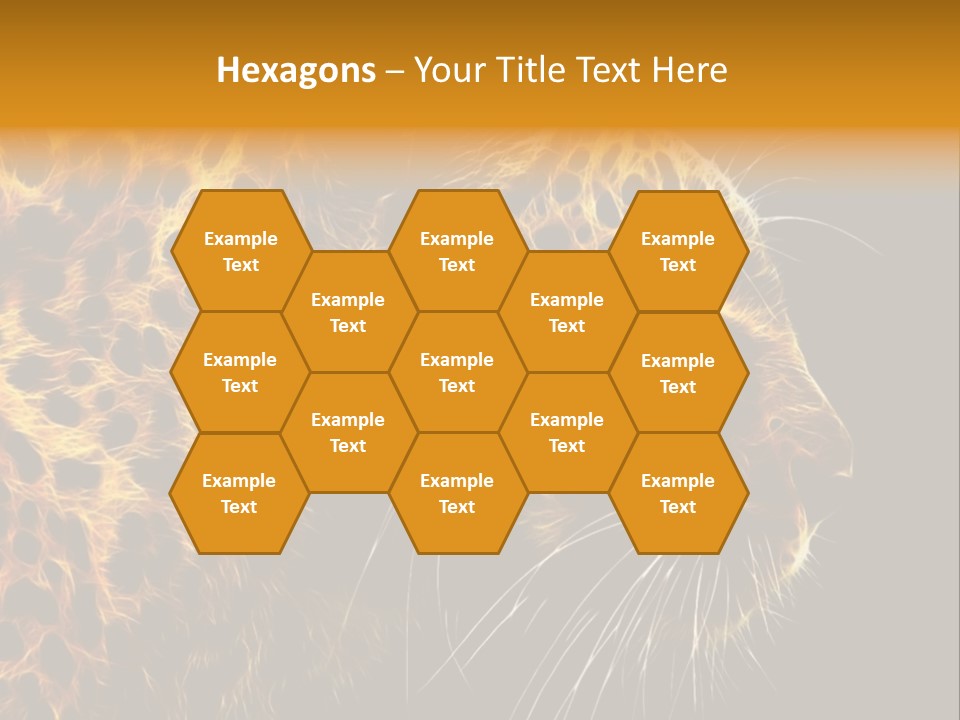 A Cheetah Powerpoint Presentation With A Black Background PowerPoint Template