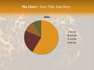 A Cheetah Powerpoint Presentation With A Black Background PowerPoint Template
