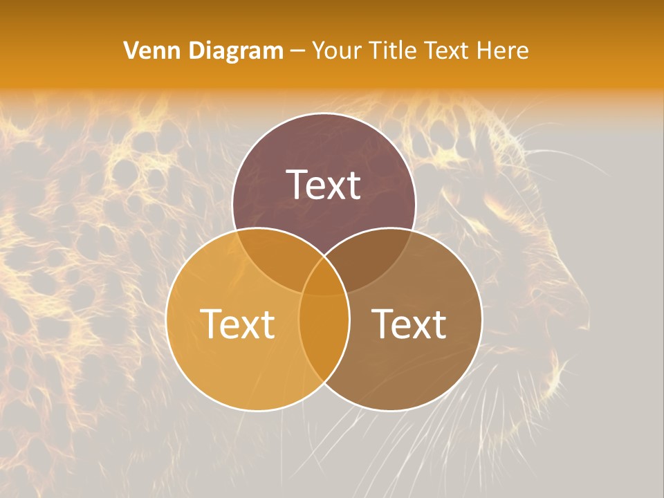 A Cheetah Powerpoint Presentation With A Black Background PowerPoint Template