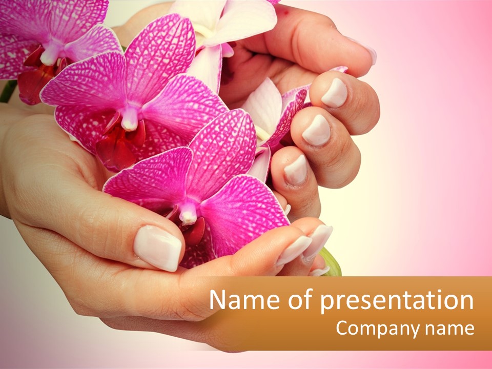 A Woman's Hands Holding A Pink Flower Powerpoint Presentation PowerPoint Template