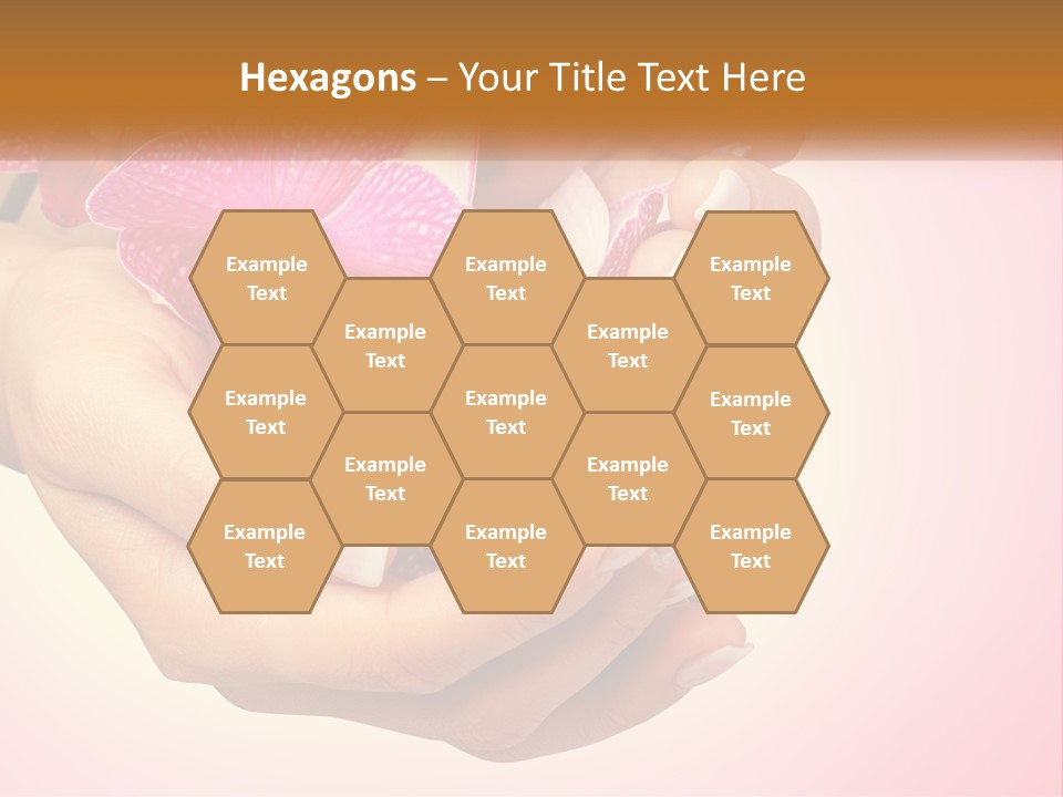 A Woman's Hands Holding A Pink Flower Powerpoint Presentation PowerPoint Template