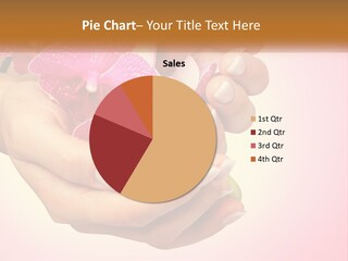 A Woman's Hands Holding A Pink Flower Powerpoint Presentation PowerPoint Template