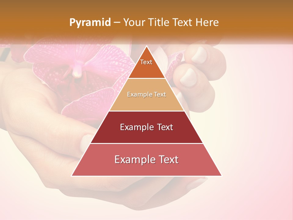 A Woman's Hands Holding A Pink Flower Powerpoint Presentation PowerPoint Template