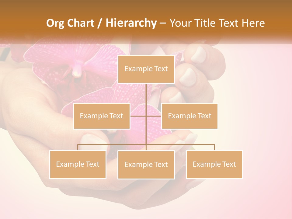 A Woman's Hands Holding A Pink Flower Powerpoint Presentation PowerPoint Template