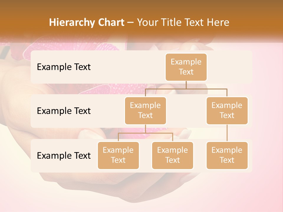A Woman's Hands Holding A Pink Flower Powerpoint Presentation PowerPoint Template