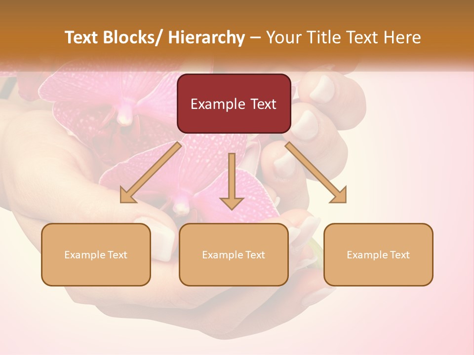 A Woman's Hands Holding A Pink Flower Powerpoint Presentation PowerPoint Template