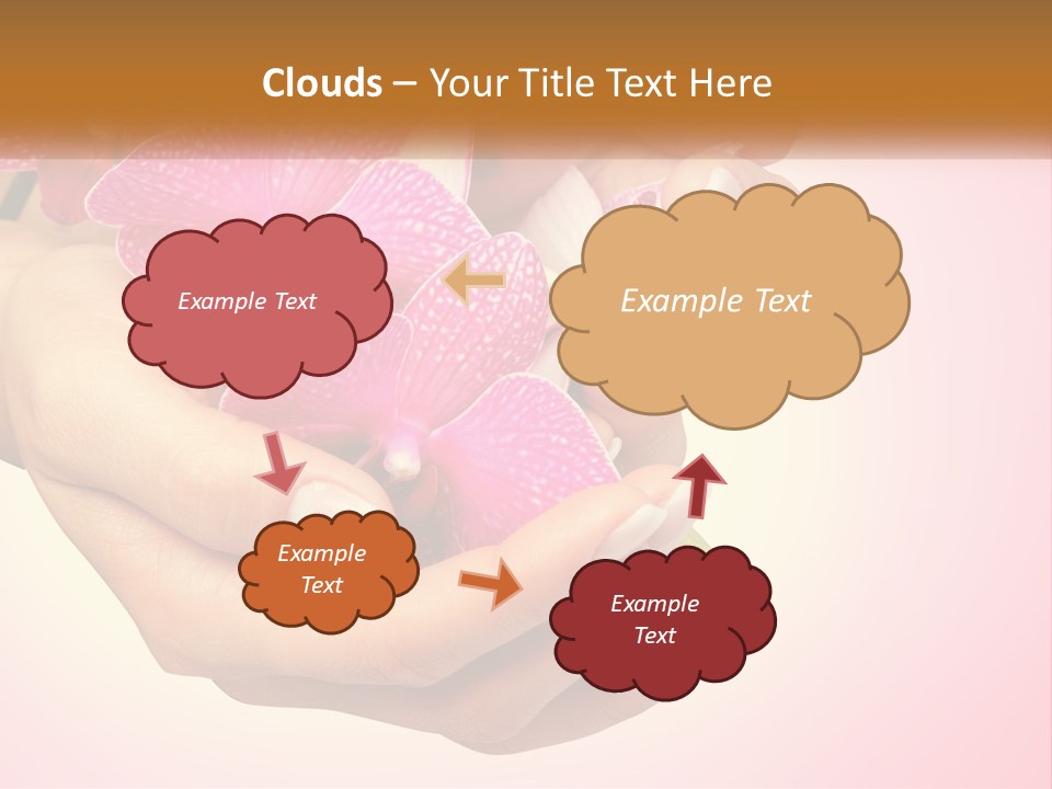 A Woman's Hands Holding A Pink Flower Powerpoint Presentation PowerPoint Template