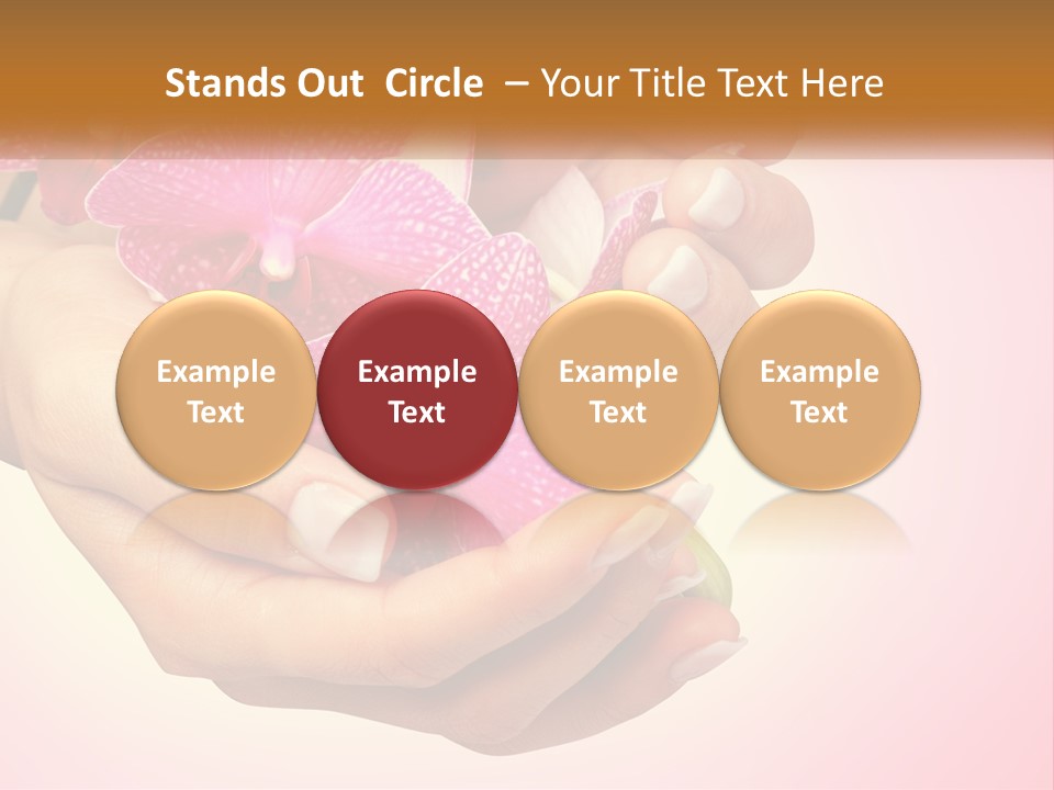 A Woman's Hands Holding A Pink Flower Powerpoint Presentation PowerPoint Template