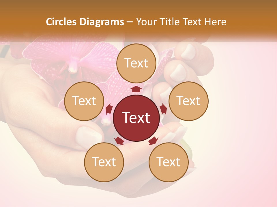 A Woman's Hands Holding A Pink Flower Powerpoint Presentation PowerPoint Template