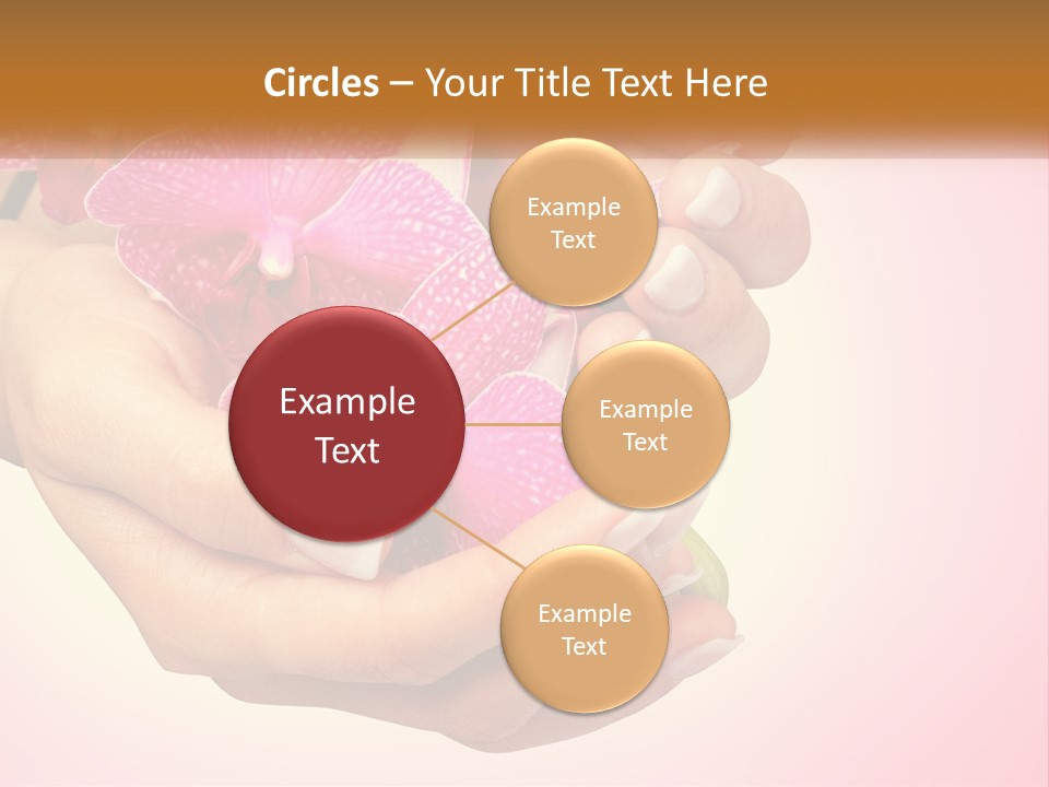 A Woman's Hands Holding A Pink Flower Powerpoint Presentation PowerPoint Template