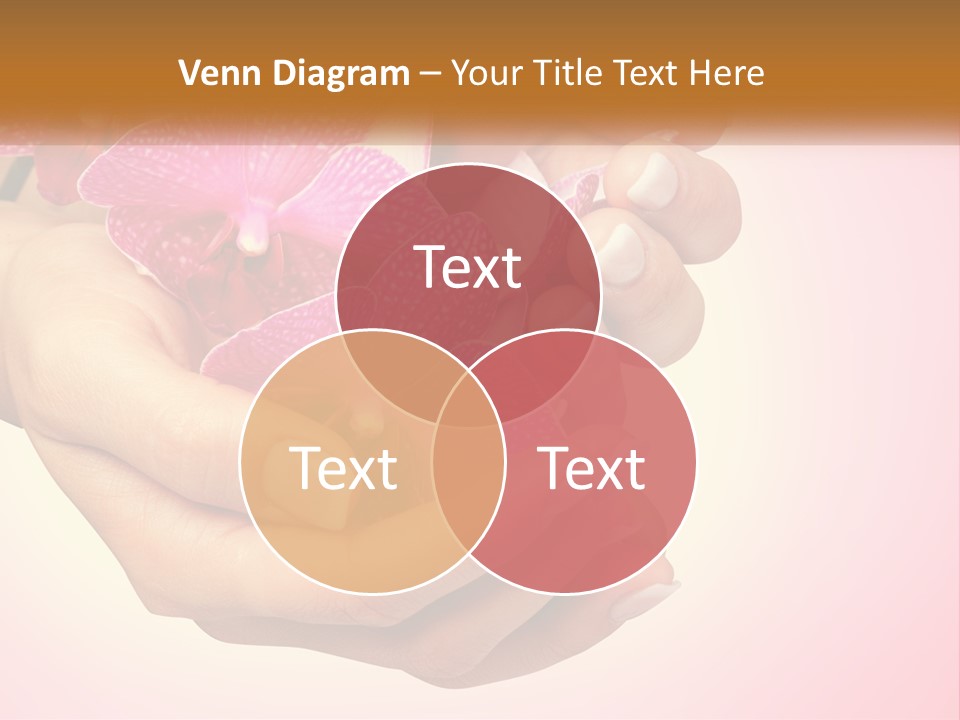 A Woman's Hands Holding A Pink Flower Powerpoint Presentation PowerPoint Template