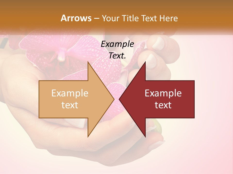 A Woman's Hands Holding A Pink Flower Powerpoint Presentation PowerPoint Template