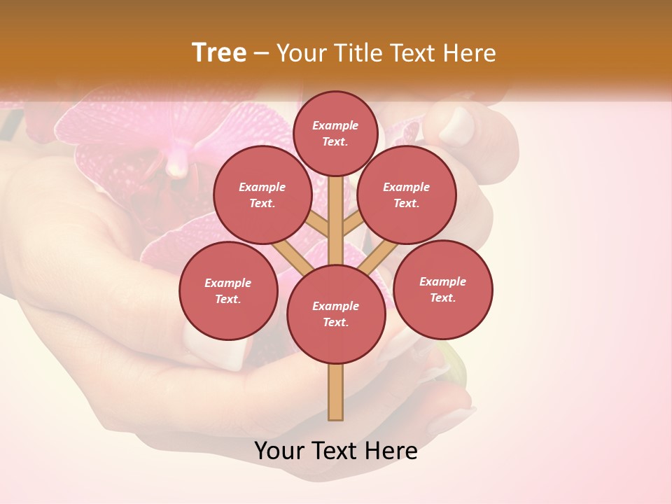A Woman's Hands Holding A Pink Flower Powerpoint Presentation PowerPoint Template
