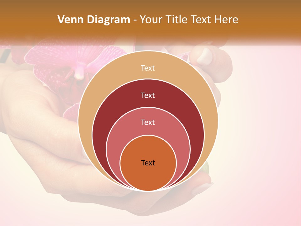 A Woman's Hands Holding A Pink Flower Powerpoint Presentation PowerPoint Template