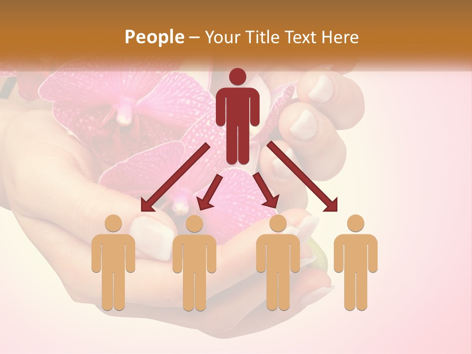 A Woman's Hands Holding A Pink Flower Powerpoint Presentation PowerPoint Template