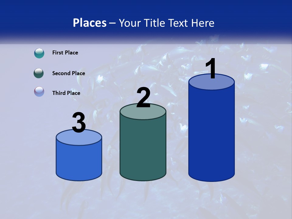 A Large Group Of Fish Swimming In The Ocean PowerPoint Template