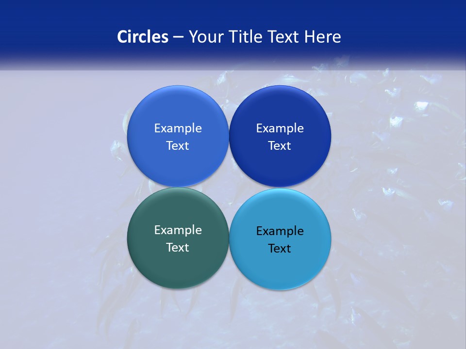 A Large Group Of Fish Swimming In The Ocean PowerPoint Template