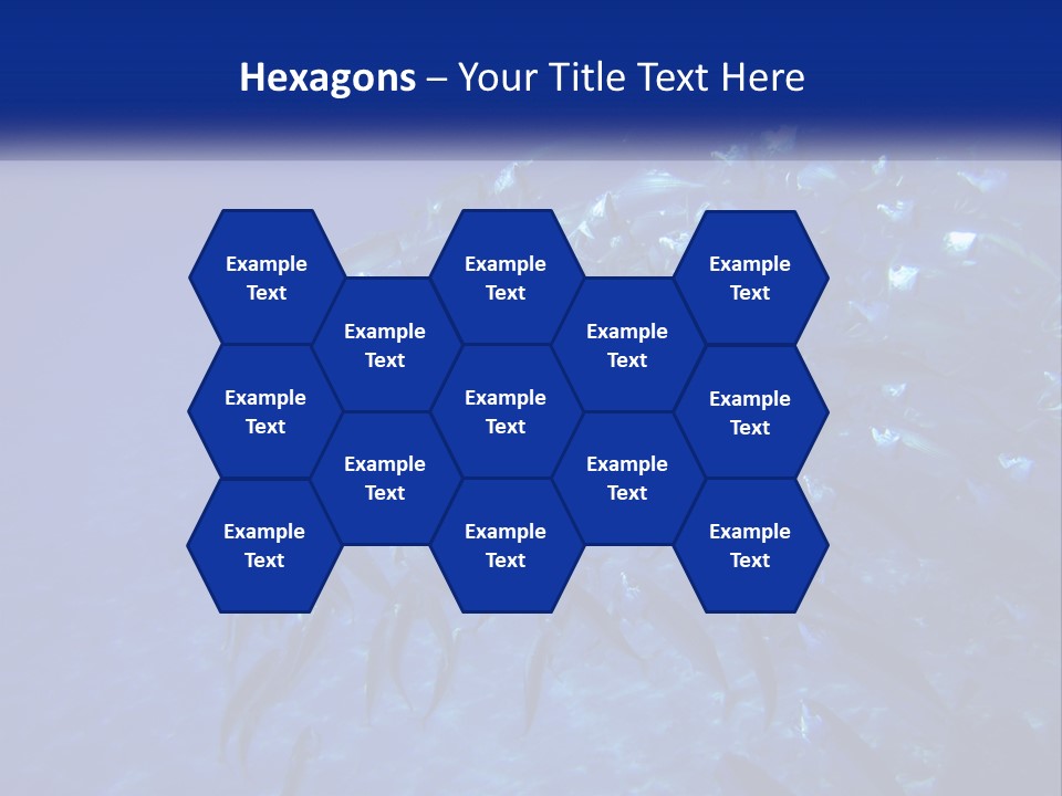 A Large Group Of Fish Swimming In The Ocean PowerPoint Template