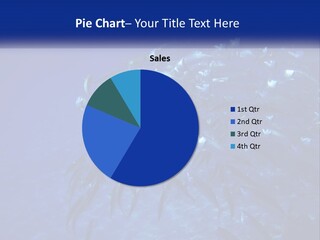 A Large Group Of Fish Swimming In The Ocean PowerPoint Template
