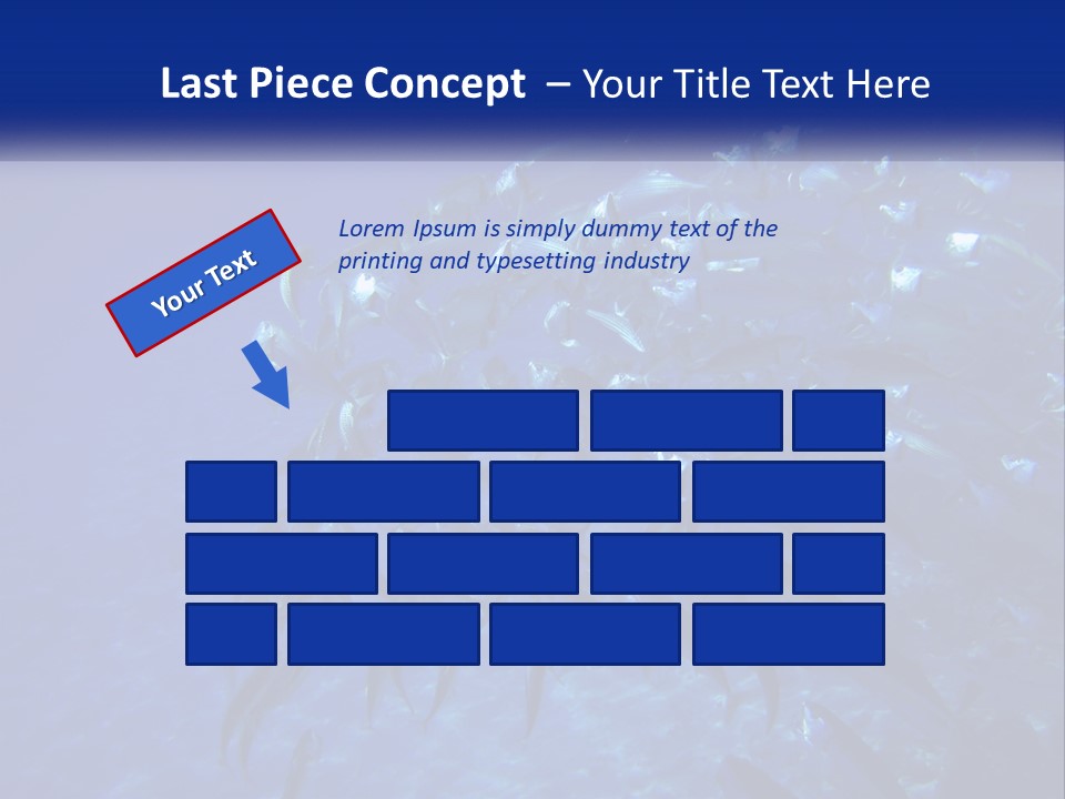 A Large Group Of Fish Swimming In The Ocean PowerPoint Template