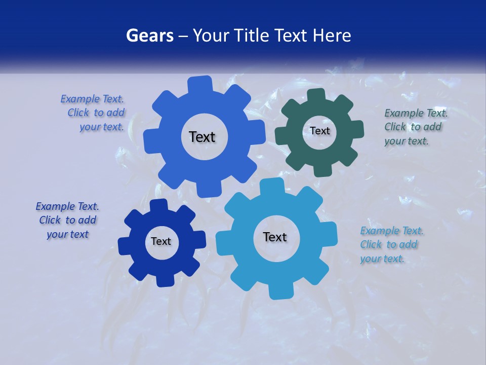 A Large Group Of Fish Swimming In The Ocean PowerPoint Template