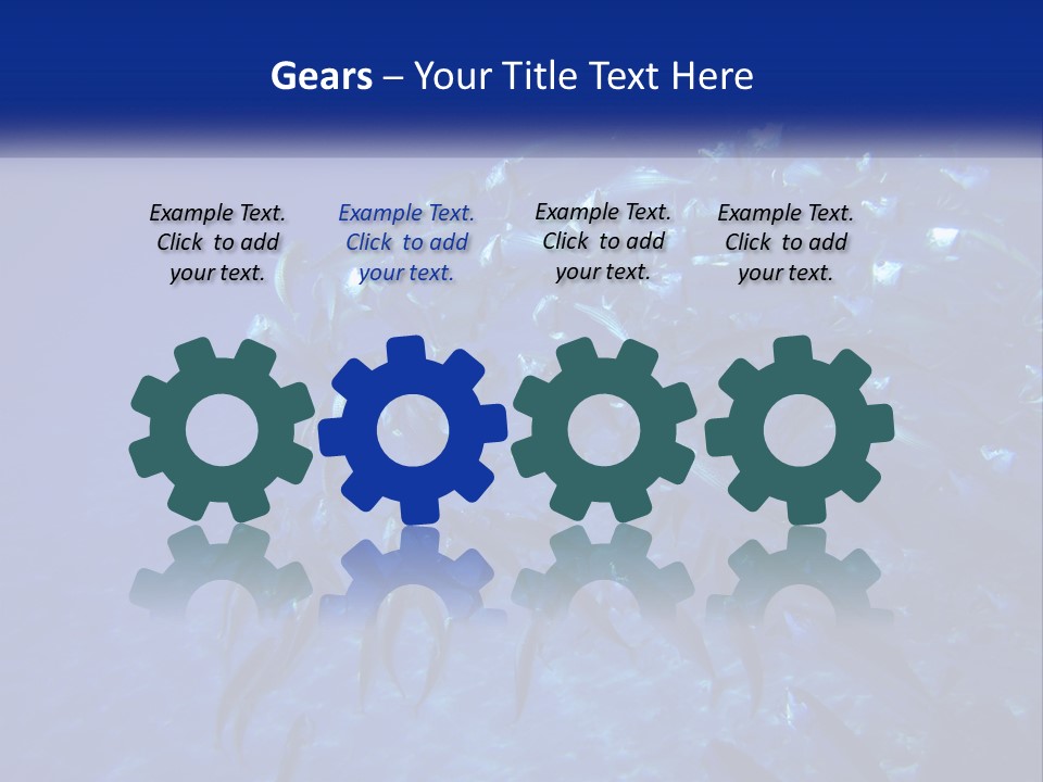 A Large Group Of Fish Swimming In The Ocean PowerPoint Template