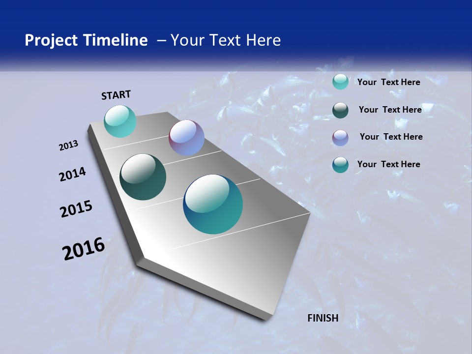 A Large Group Of Fish Swimming In The Ocean PowerPoint Template