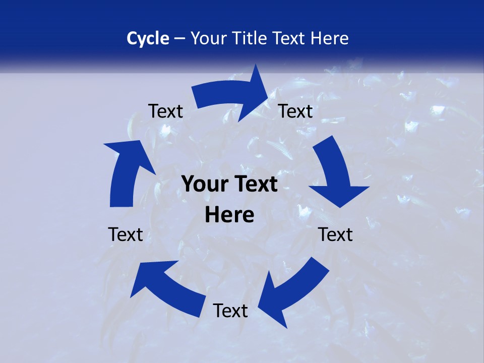 A Large Group Of Fish Swimming In The Ocean PowerPoint Template
