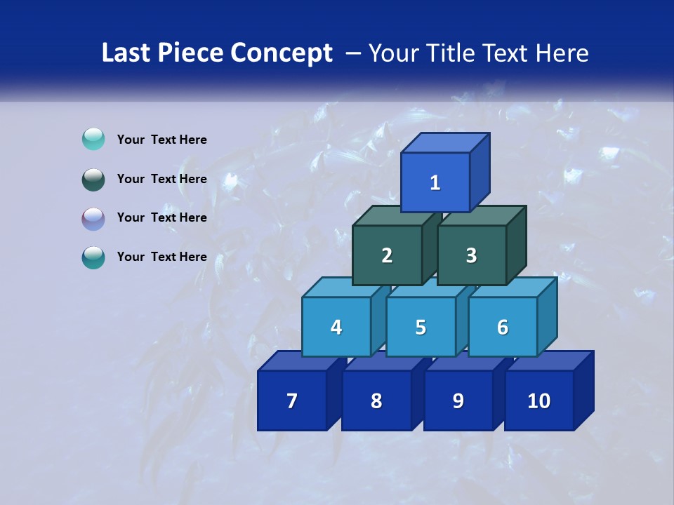 A Large Group Of Fish Swimming In The Ocean PowerPoint Template