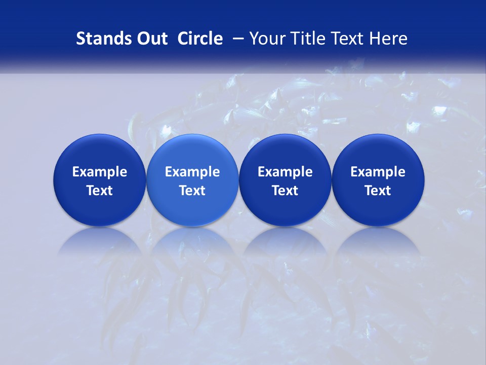 A Large Group Of Fish Swimming In The Ocean PowerPoint Template
