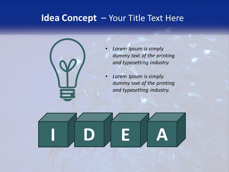 A Large Group Of Fish Swimming In The Ocean PowerPoint Template
