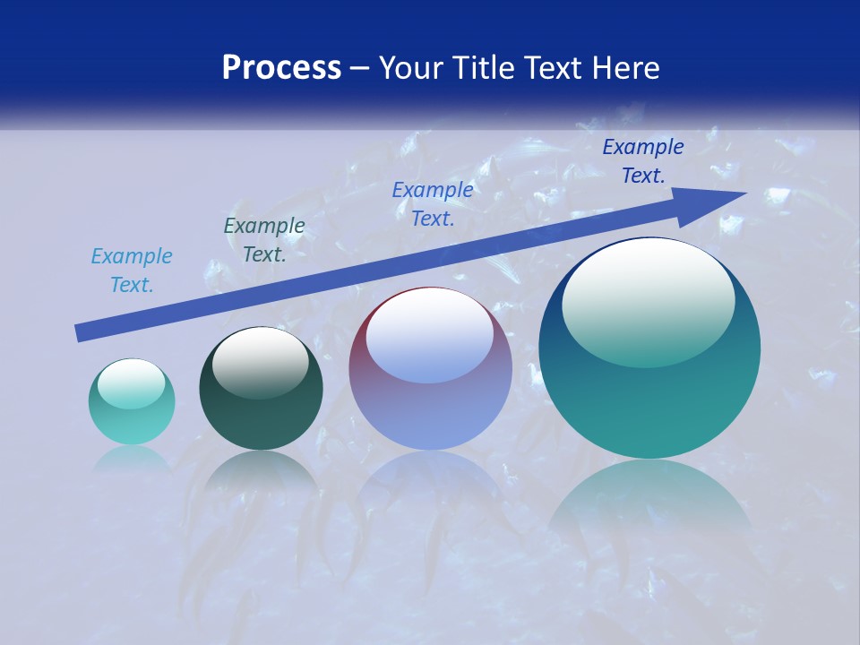 A Large Group Of Fish Swimming In The Ocean PowerPoint Template