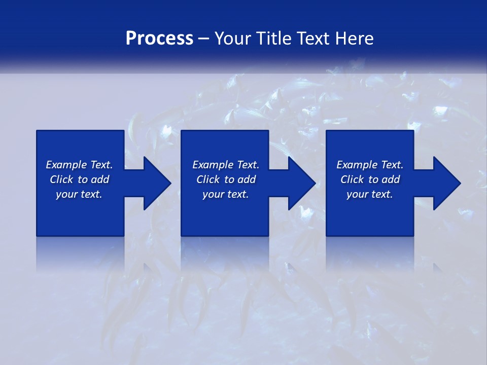 A Large Group Of Fish Swimming In The Ocean PowerPoint Template
