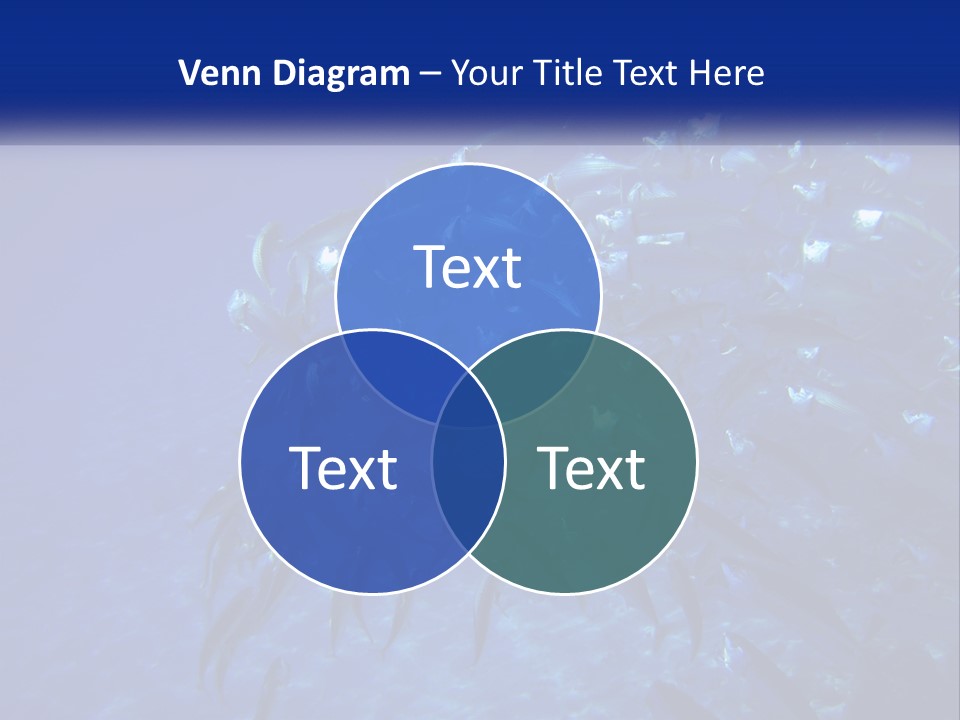 A Large Group Of Fish Swimming In The Ocean PowerPoint Template