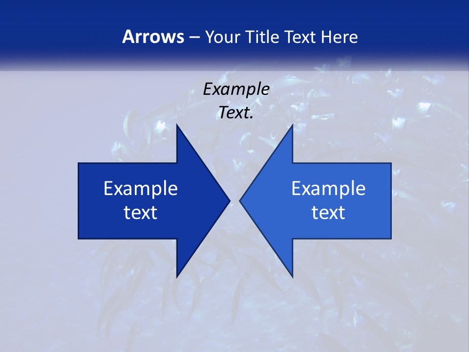 A Large Group Of Fish Swimming In The Ocean PowerPoint Template