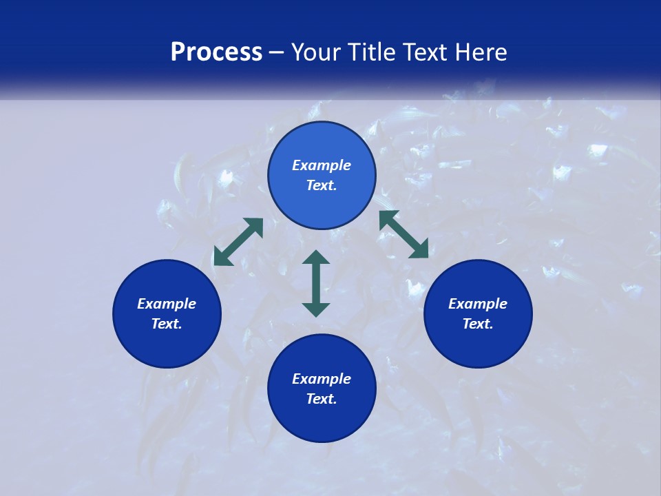A Large Group Of Fish Swimming In The Ocean PowerPoint Template