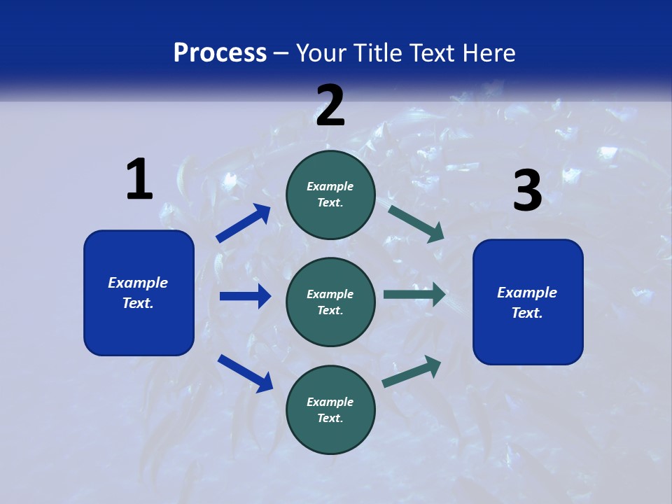 A Large Group Of Fish Swimming In The Ocean PowerPoint Template
