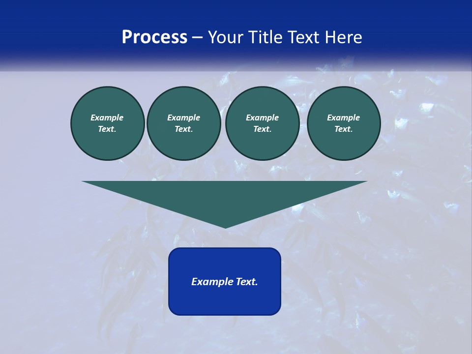 A Large Group Of Fish Swimming In The Ocean PowerPoint Template