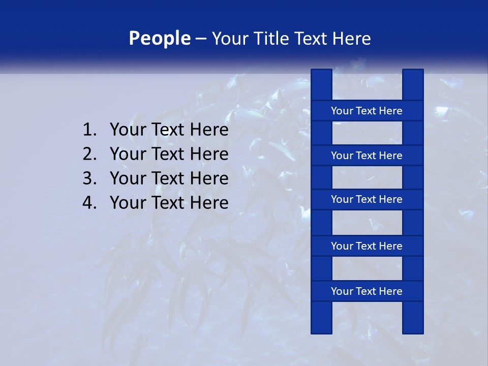 A Large Group Of Fish Swimming In The Ocean PowerPoint Template