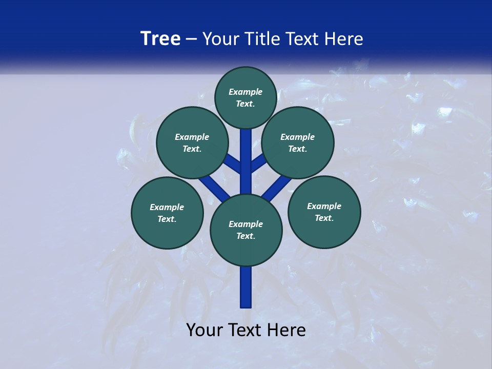 A Large Group Of Fish Swimming In The Ocean PowerPoint Template