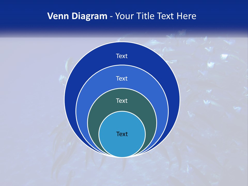 A Large Group Of Fish Swimming In The Ocean PowerPoint Template