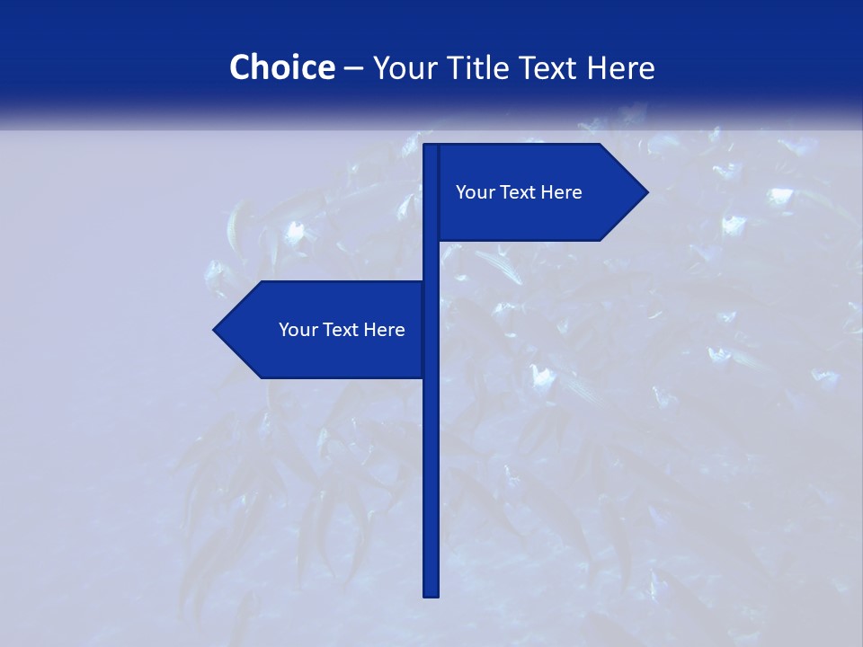 A Large Group Of Fish Swimming In The Ocean PowerPoint Template