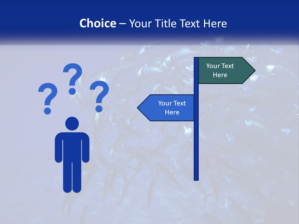 A Large Group Of Fish Swimming In The Ocean PowerPoint Template
