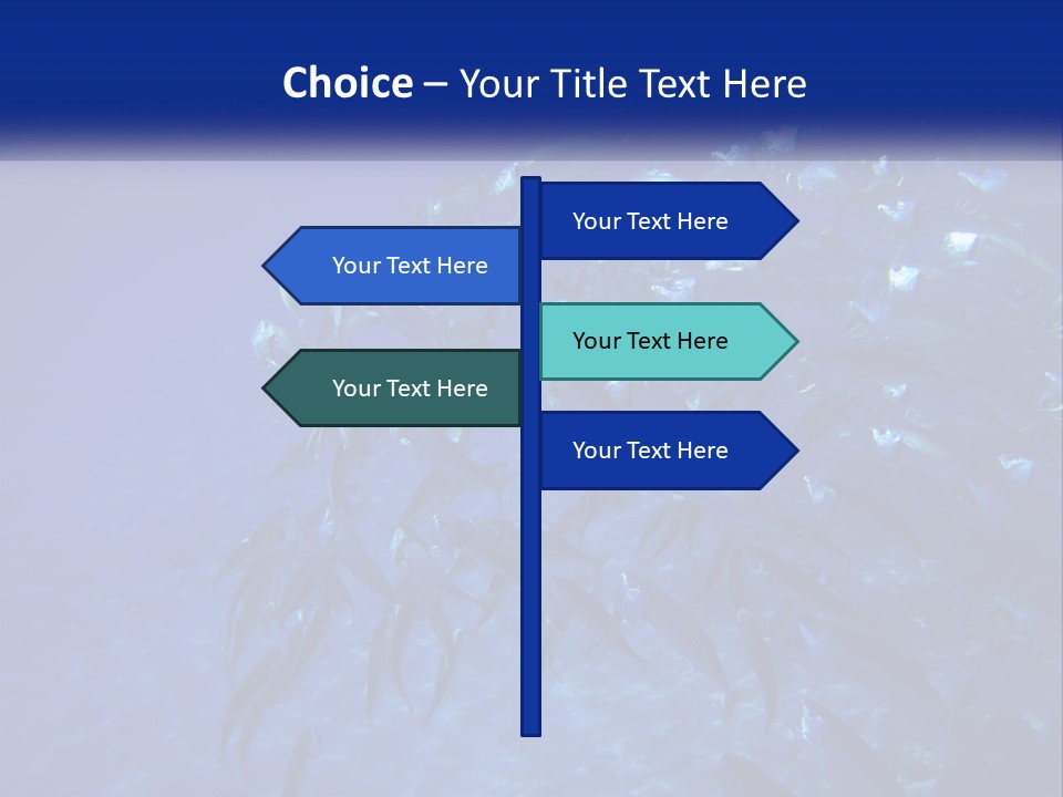 A Large Group Of Fish Swimming In The Ocean PowerPoint Template