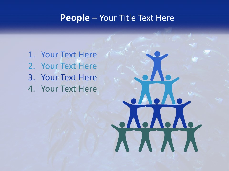 A Large Group Of Fish Swimming In The Ocean PowerPoint Template