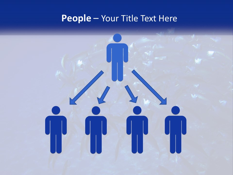 A Large Group Of Fish Swimming In The Ocean PowerPoint Template
