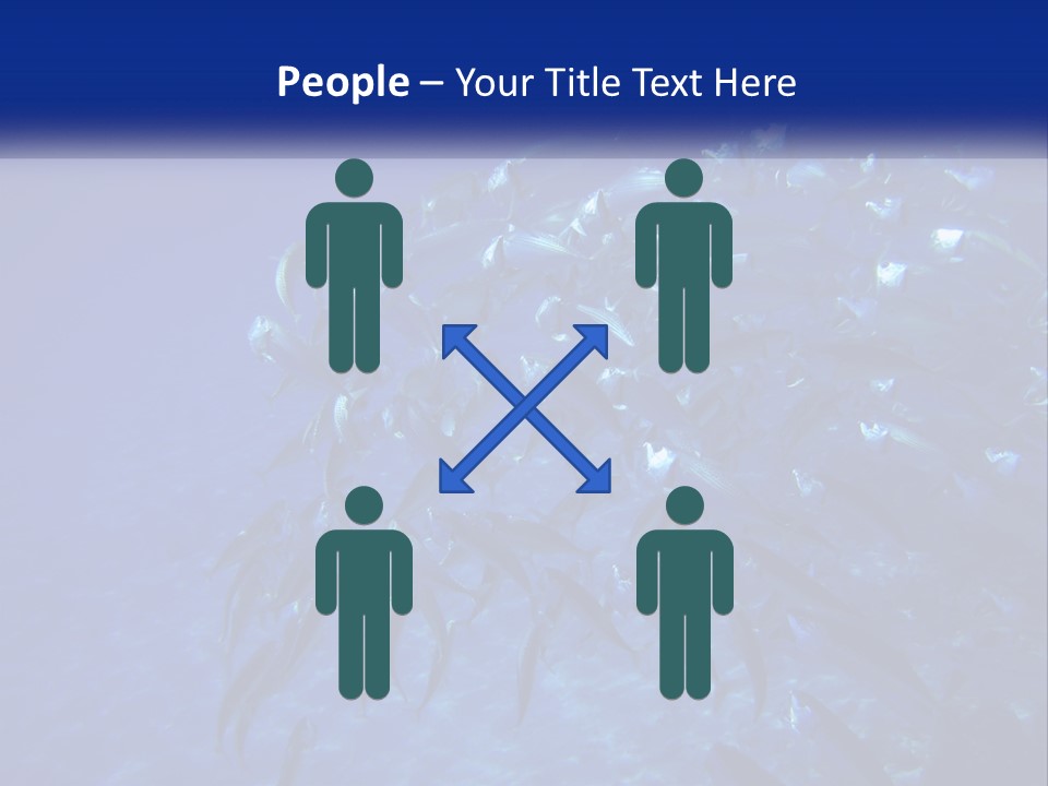 A Large Group Of Fish Swimming In The Ocean PowerPoint Template